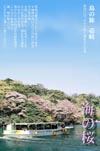 日本遺産壱岐　海の桜
