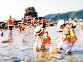 壱岐旅行計画、勝本の観光と歴史